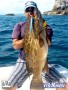 Cebaco Bay Grouper