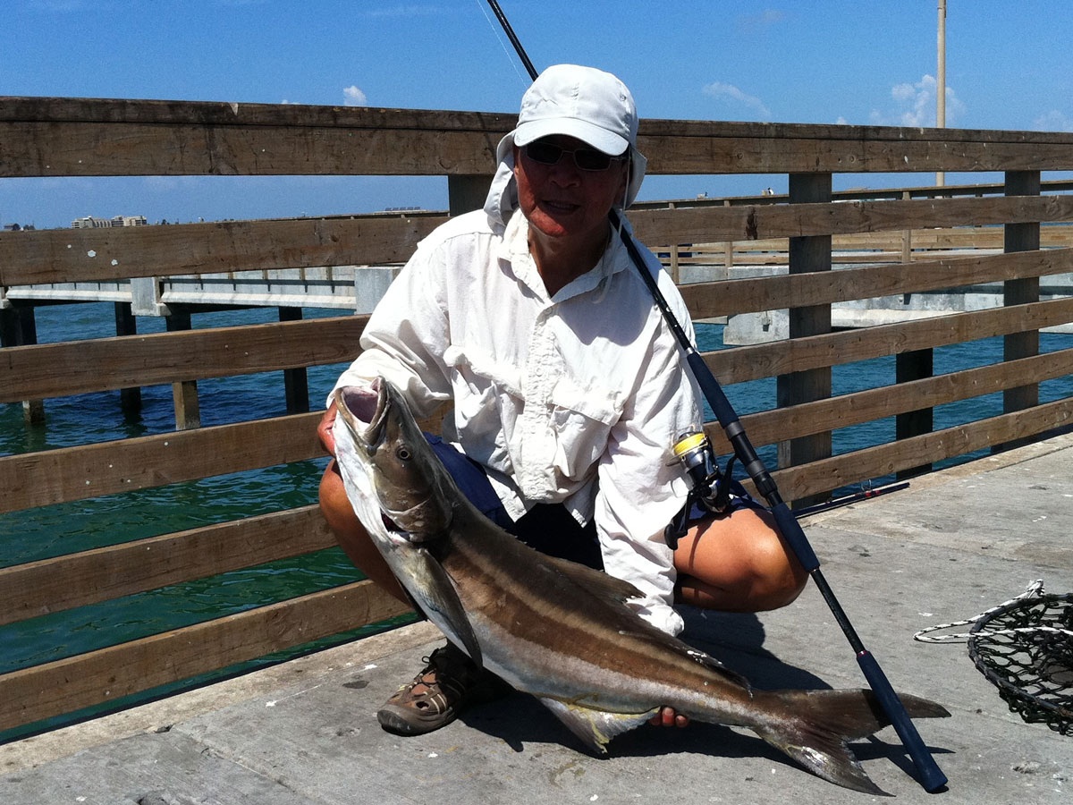 chum for pier fishing - what to do with leftover bait 