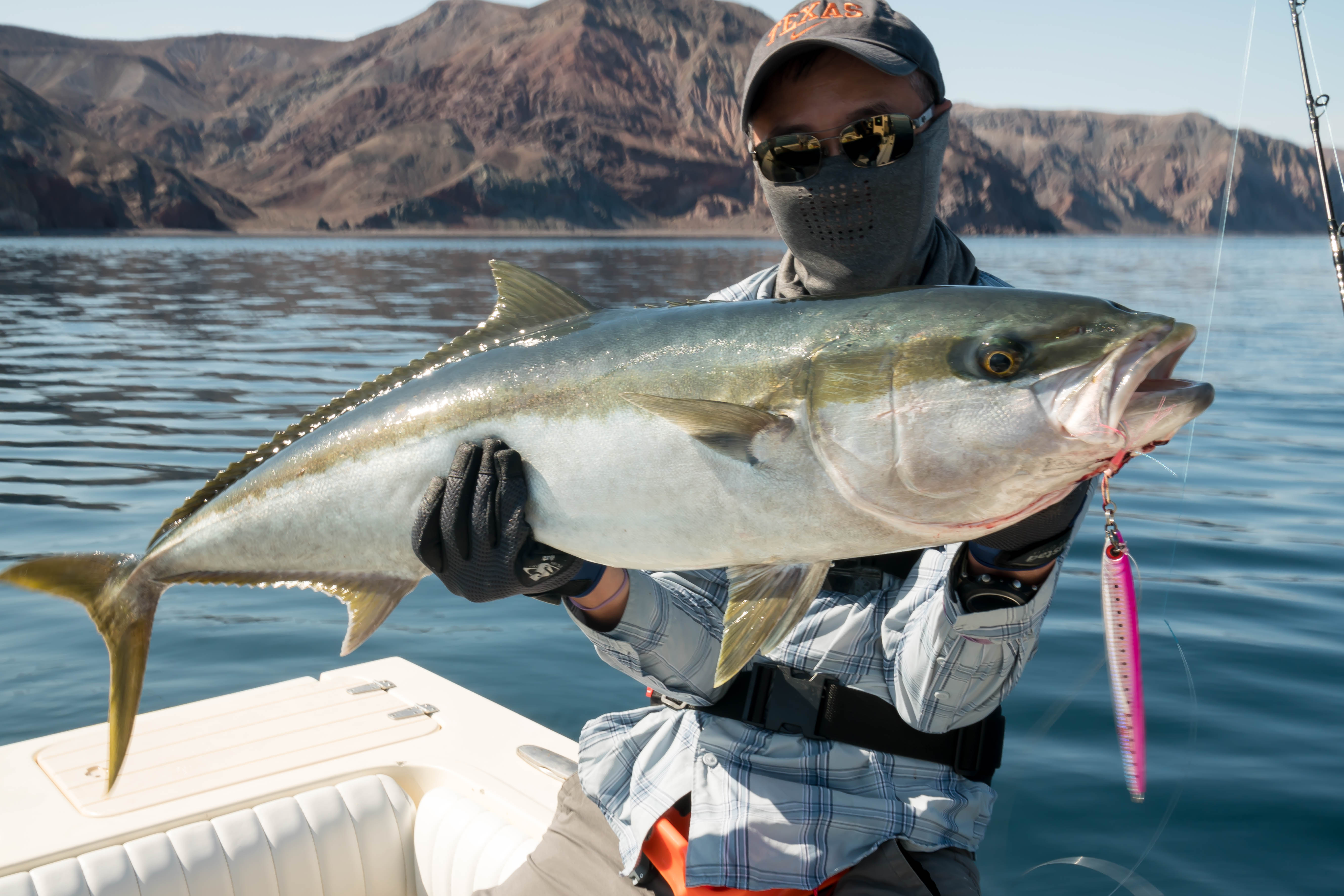 Bahia De Los Angeles Fishing Report Unique Fish Photo