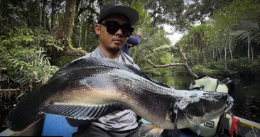 Dranckrazy Black Serpent Travel Rods