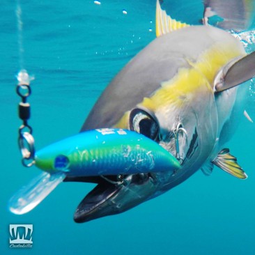 Prohunter Bibless Sinking Minnow with Panama Yellowfin Tuna